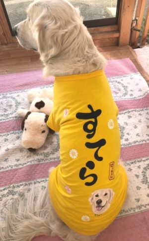 犬用似顔絵+トッピングTシャツ